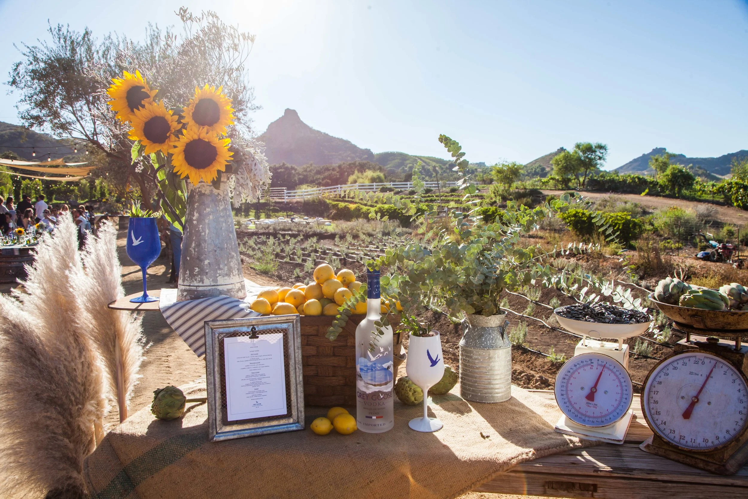 Saddlerock Ranch_2018-52.jpg