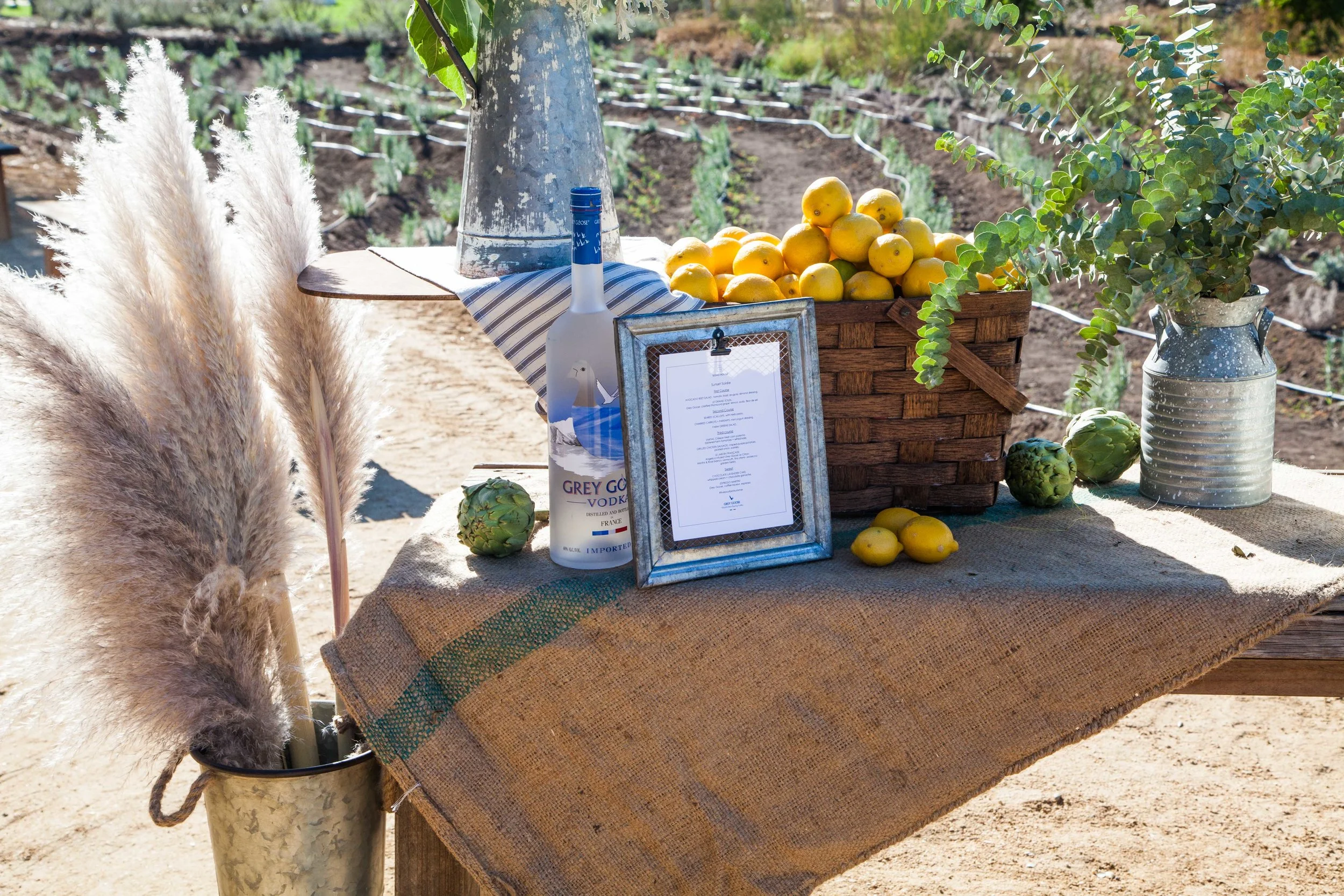 Saddlerock Ranch_2018-3.jpg