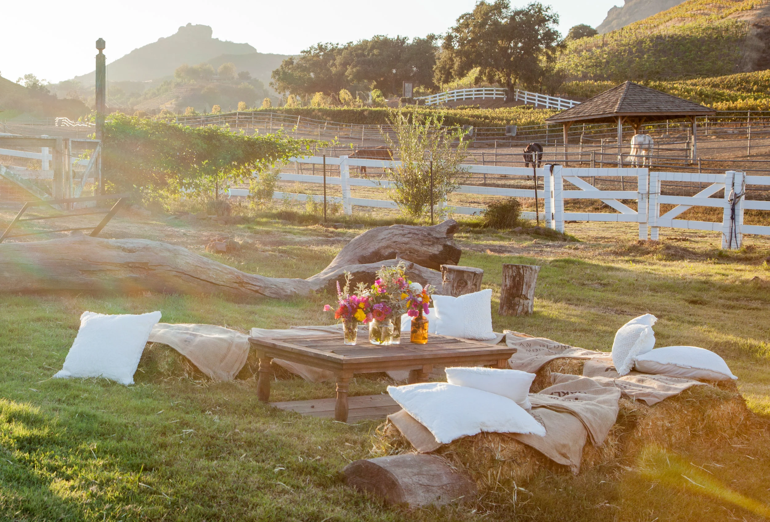 Saddlerock Soho Dinner-194.jpg