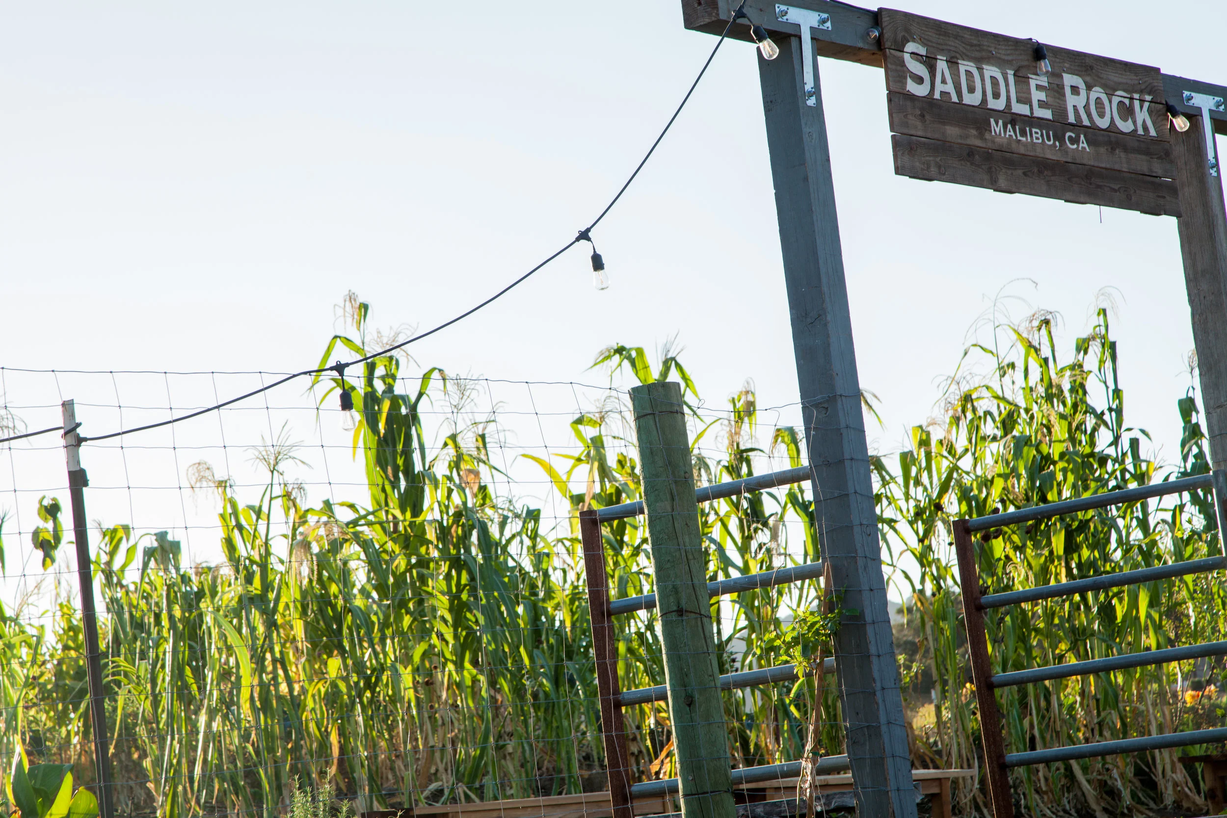 Saddlerock Soho Dinner-159.jpg