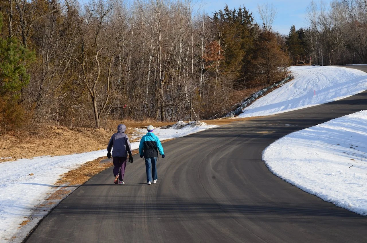 Let's Go For a Walk Together!