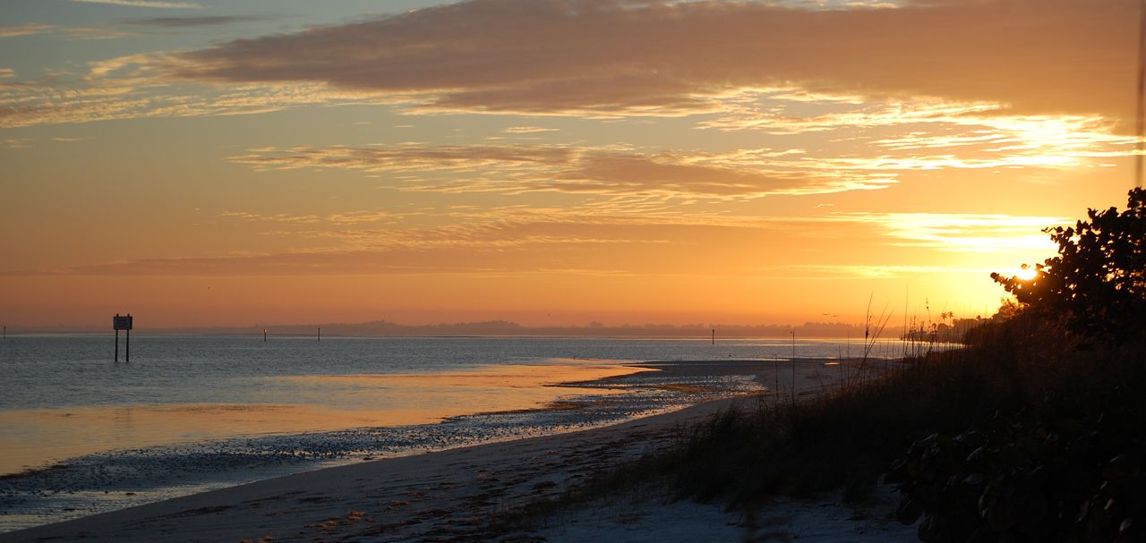 Why Workouts Fail and Why It's Not Your Fault!