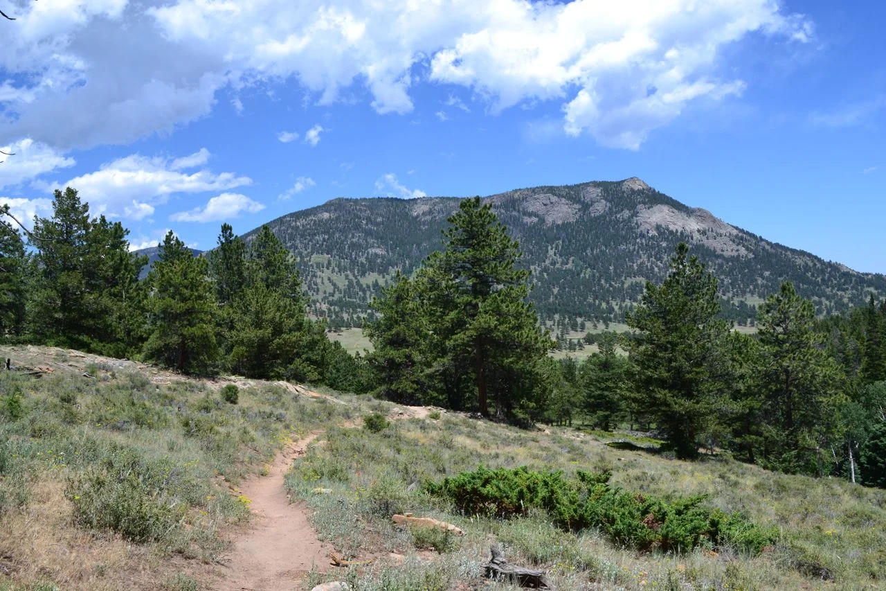 The Truth About Women Walking, Part II