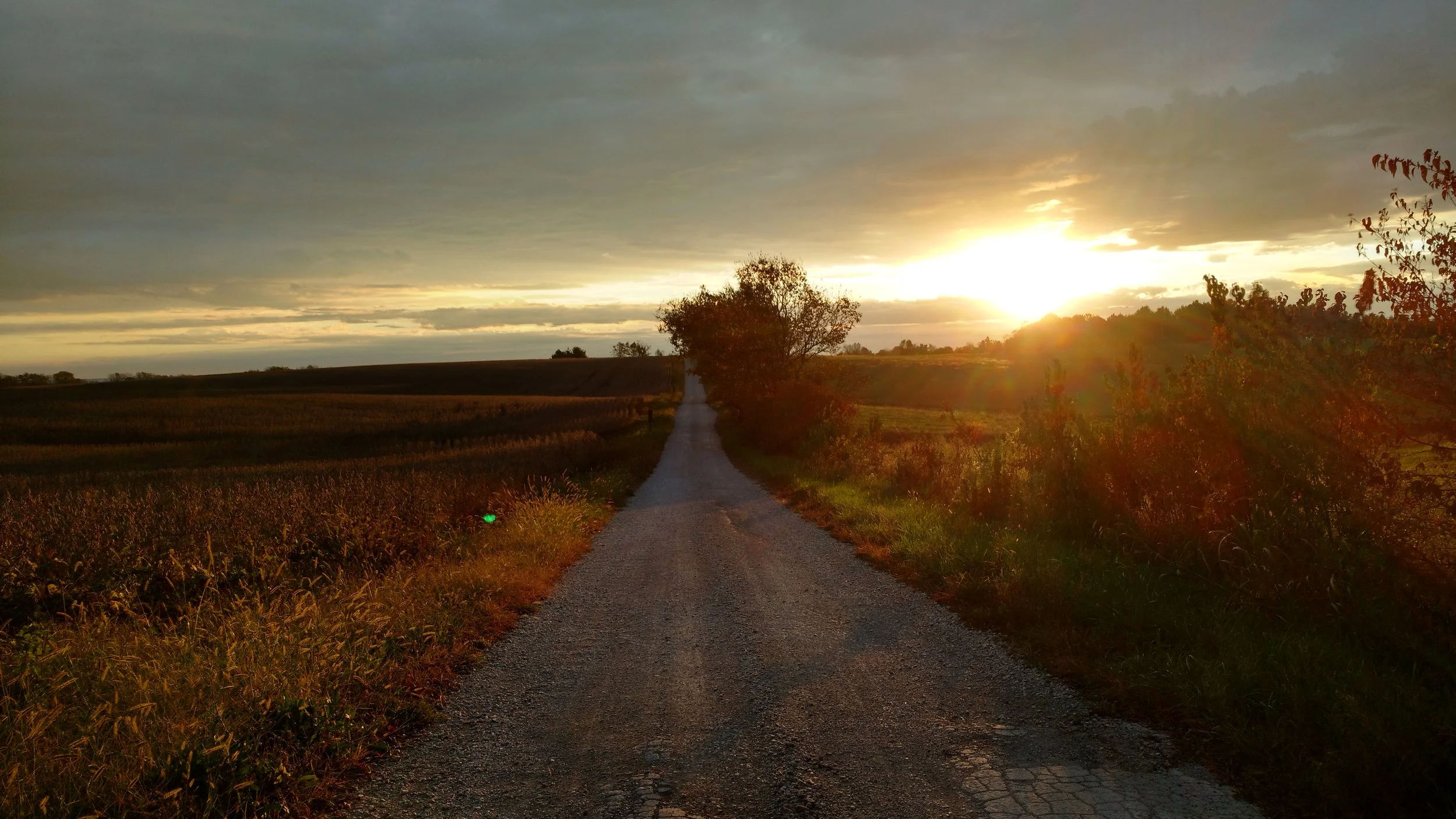 Walking Women:  Annajean Gorman