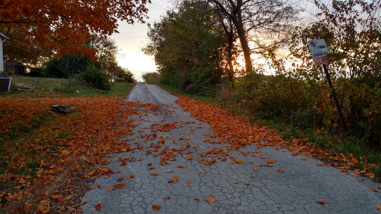 Part of Annajean's walking route! How gorgeous is this?