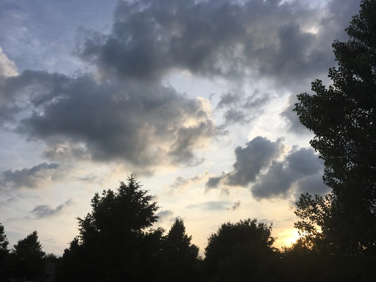 Oh what a gorgeous way to mark the solstice. I was out walking when I took this photo! So happy to share it with you!
