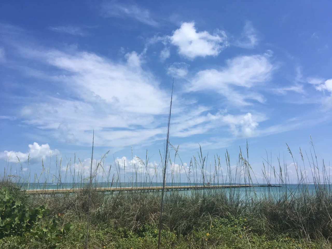 Wondering Where I've Been? Well . . .