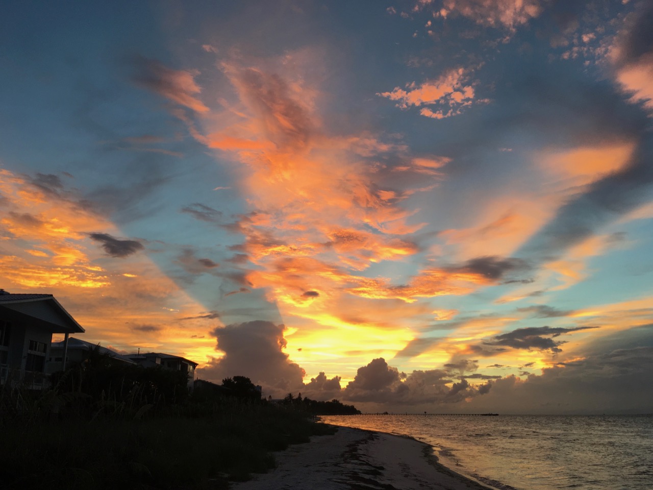 June 29, 2019