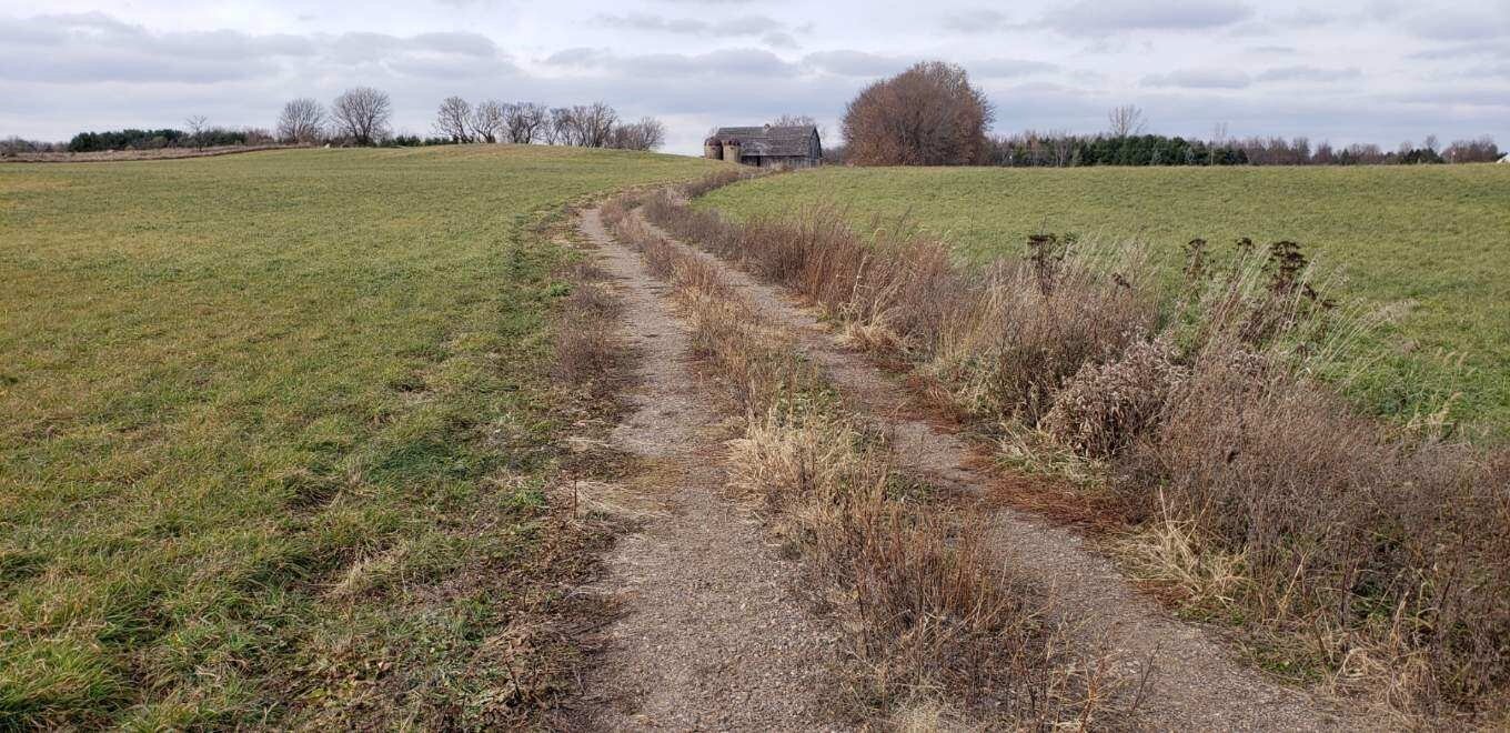 Walking Works, Make It Work For You!