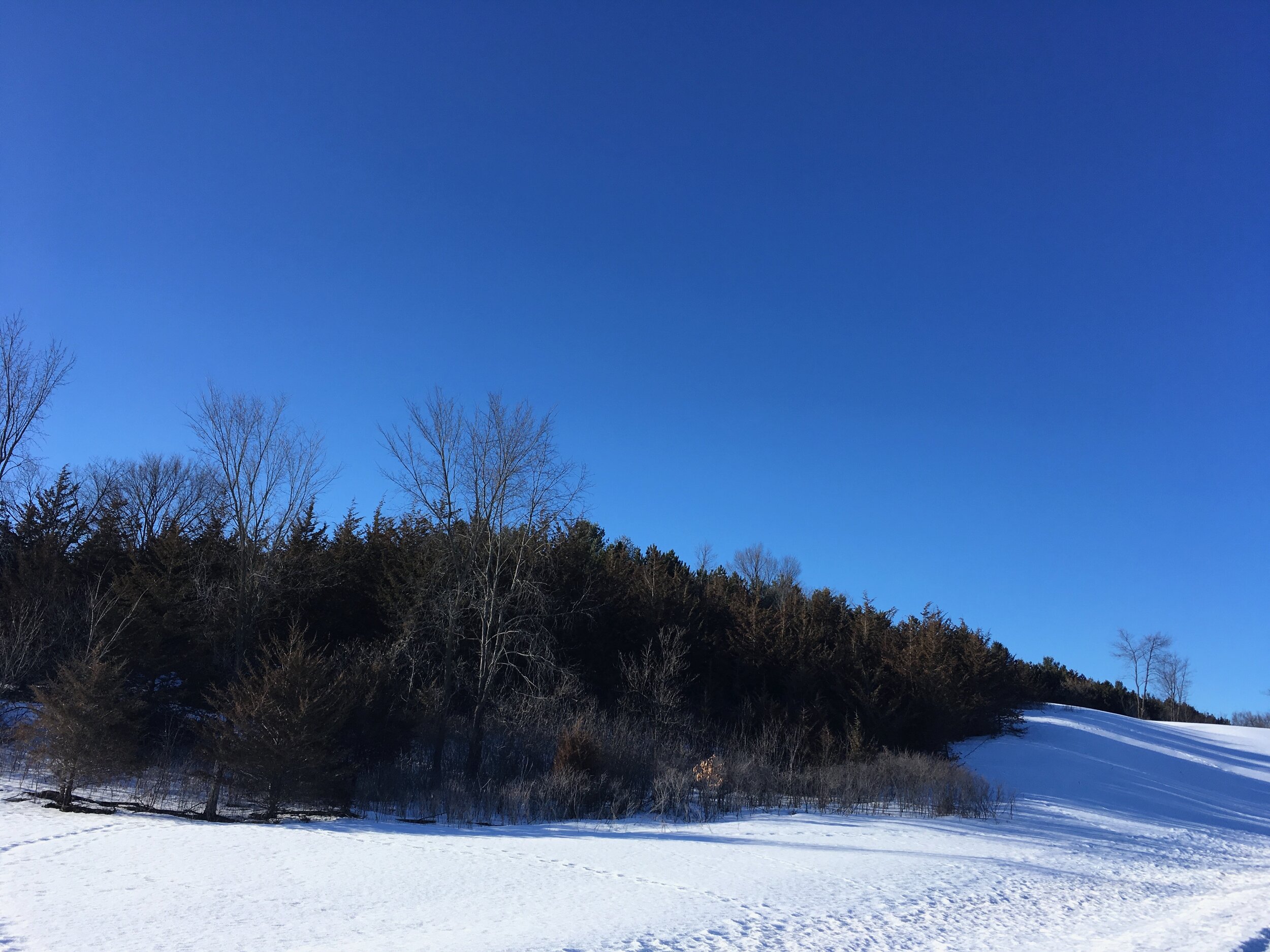 IMG_7506.jpeg