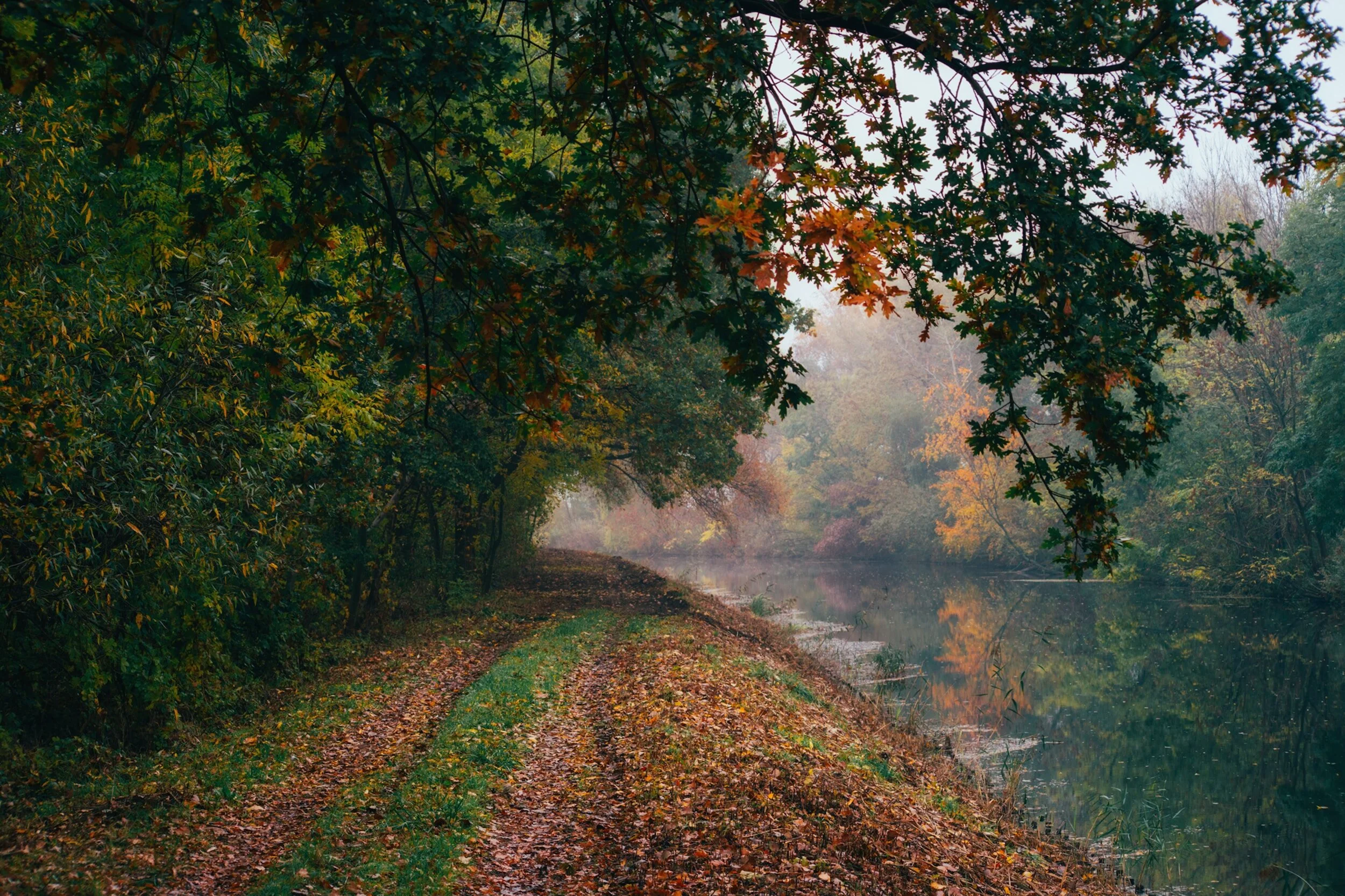 Cool Tips to Make Your Autumn Walks the Best Walks Ever!