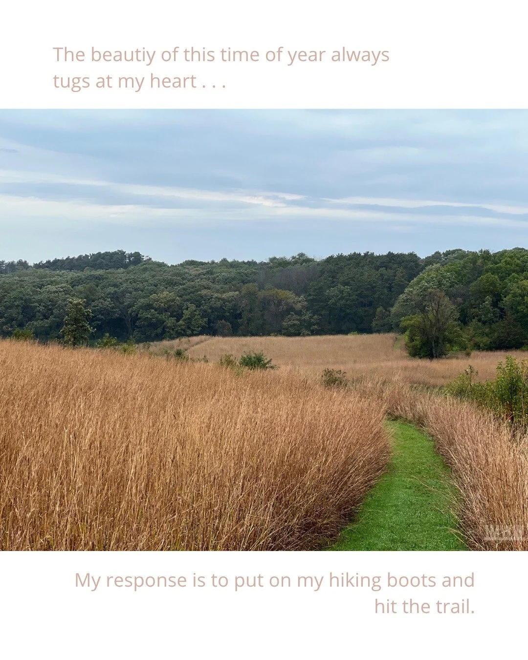 #seenonmywalk #tallgrassprairie @belwinconservancy #WalkYourWalk