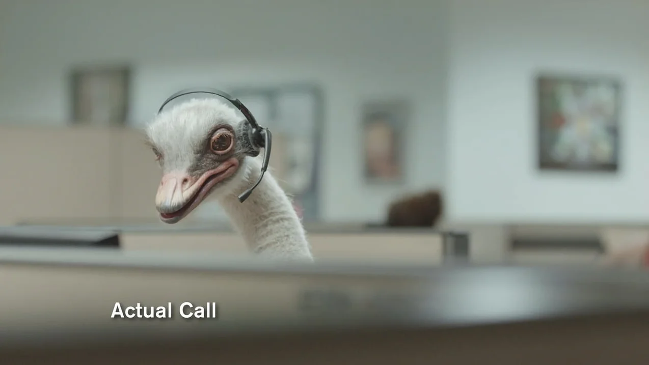 Stride Stroodle Doodle