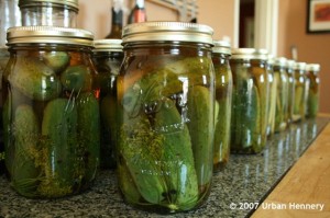 Grandma Steinberger’s Dill Pickles