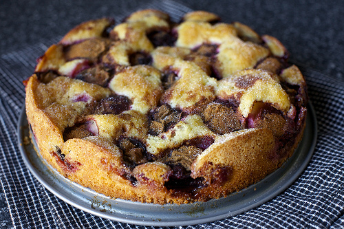 Kate’s Plum Torte 