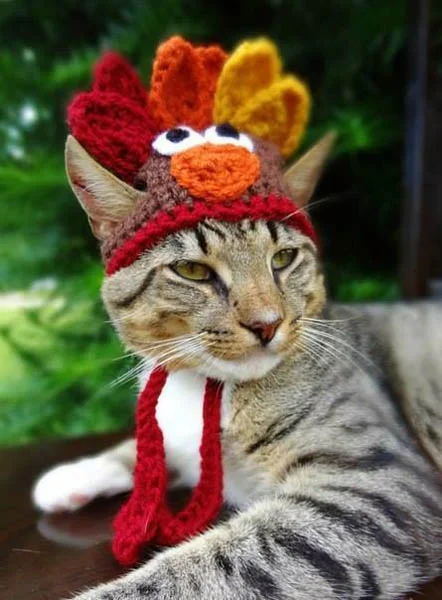 Barbara Petty Turkey.jpg