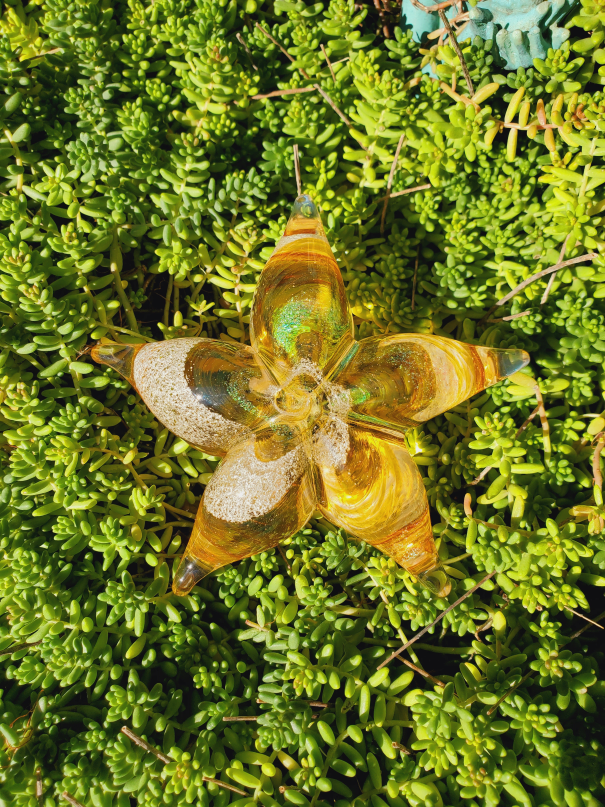 Amber/Gold/Amber