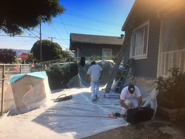 Employees Working Safely to Remove Lead Paintin