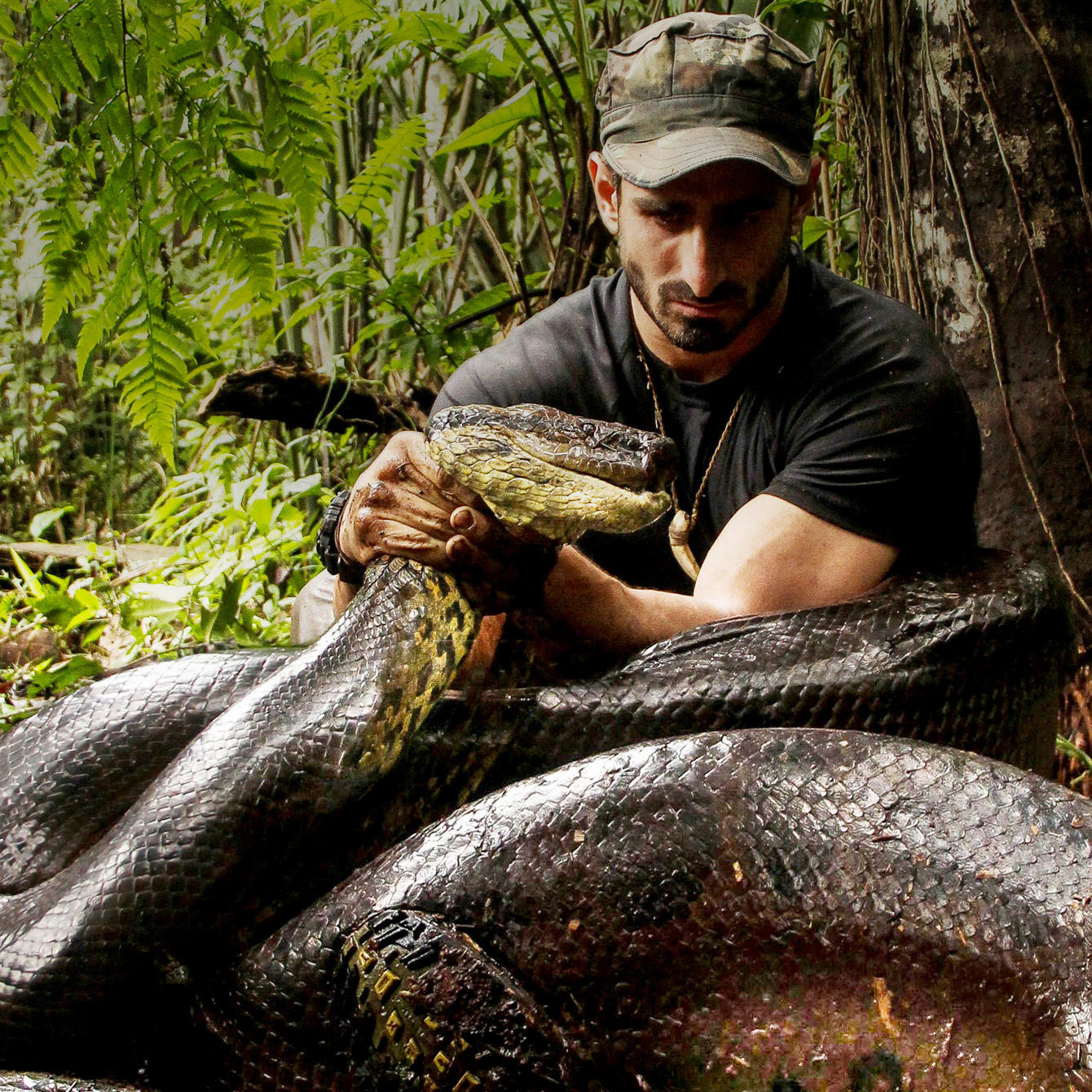 eaten alive DISCOVERY CHANNEL