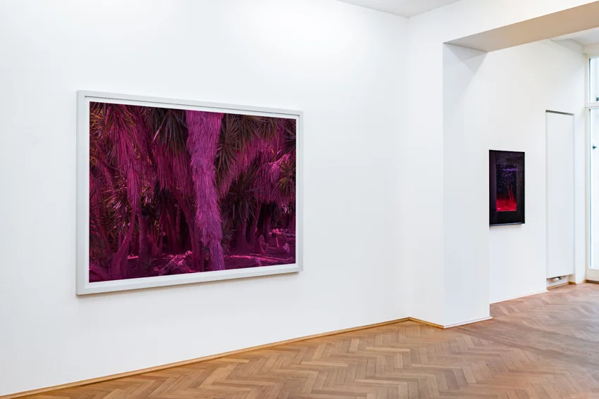 RBrueck-3318_web.jpg