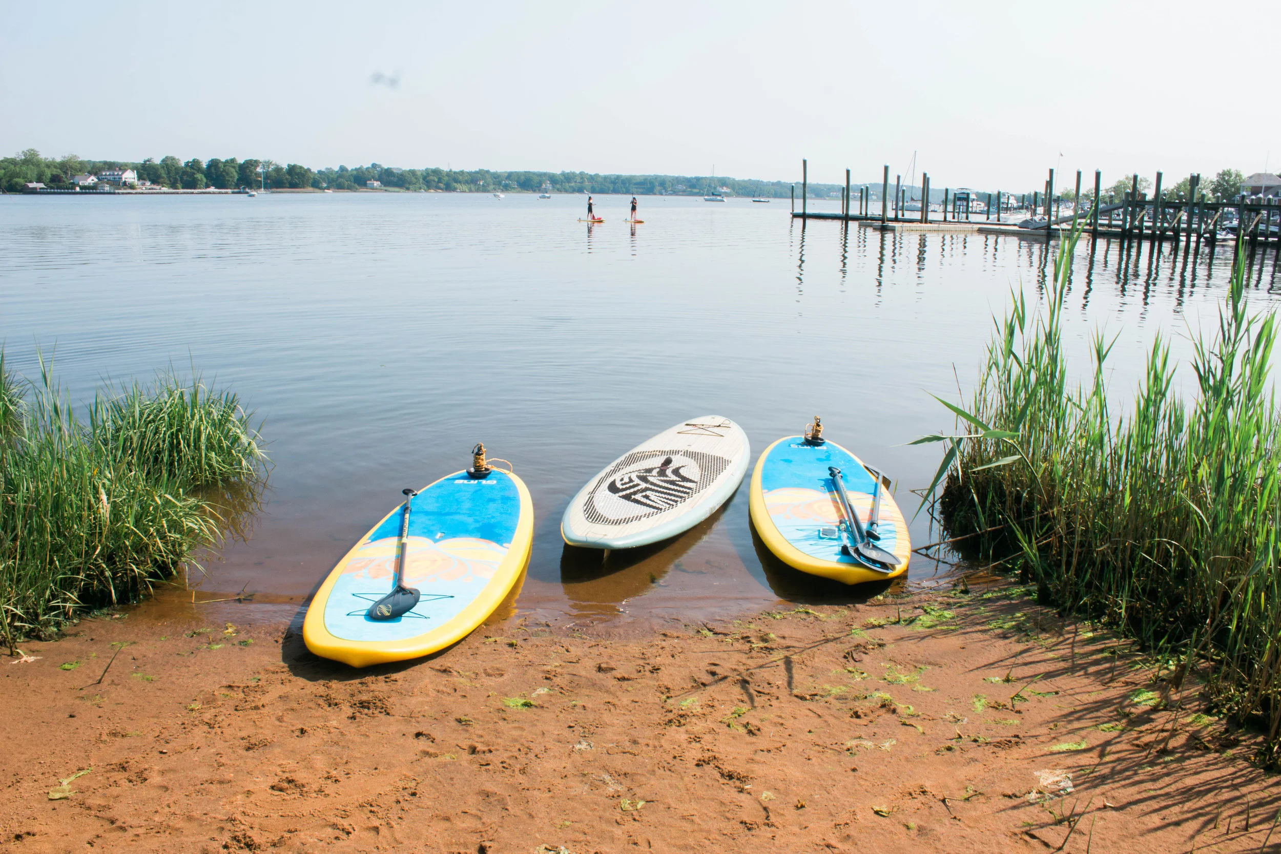 Paddleboarding & SUP Yoga Demo