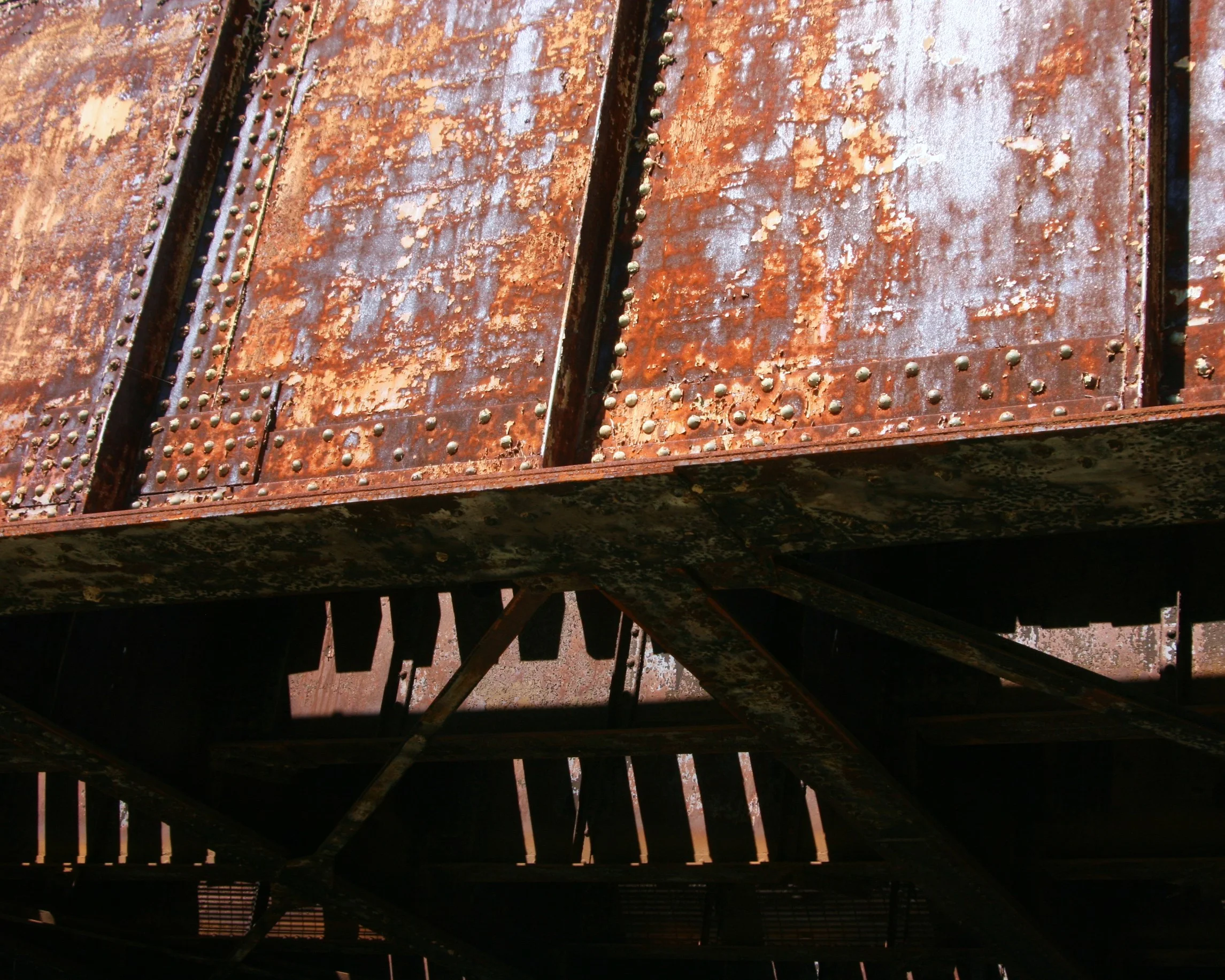 Mount Vernon Trail 2