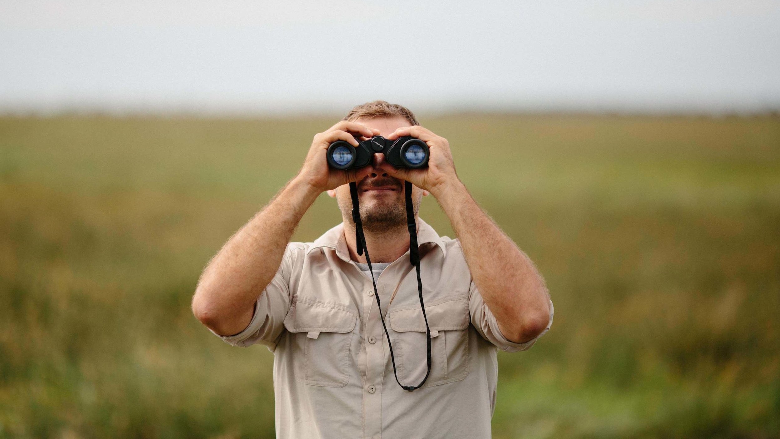 search.jpg