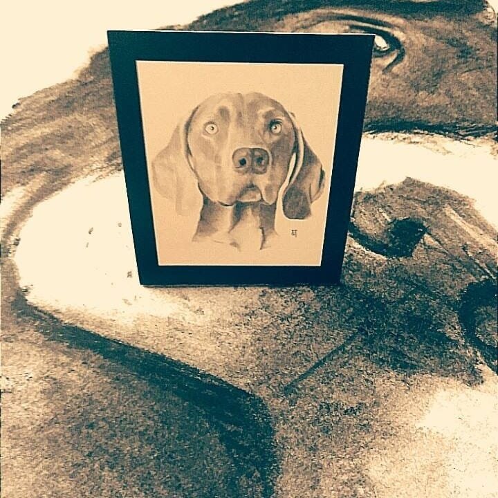 WAS my card design? Should i keep it? #dog #ilovedogs🐶 #ilovedogs❤️ #ilovedogstoomuch #ilovedogtoo #dogsofinstagrams #starvingartists #charcoalart #charcoalportrait #charcoallabsofinstagram #charcoaldrawing #mypetdog #mansbestfriend🐾 #dog #caninear