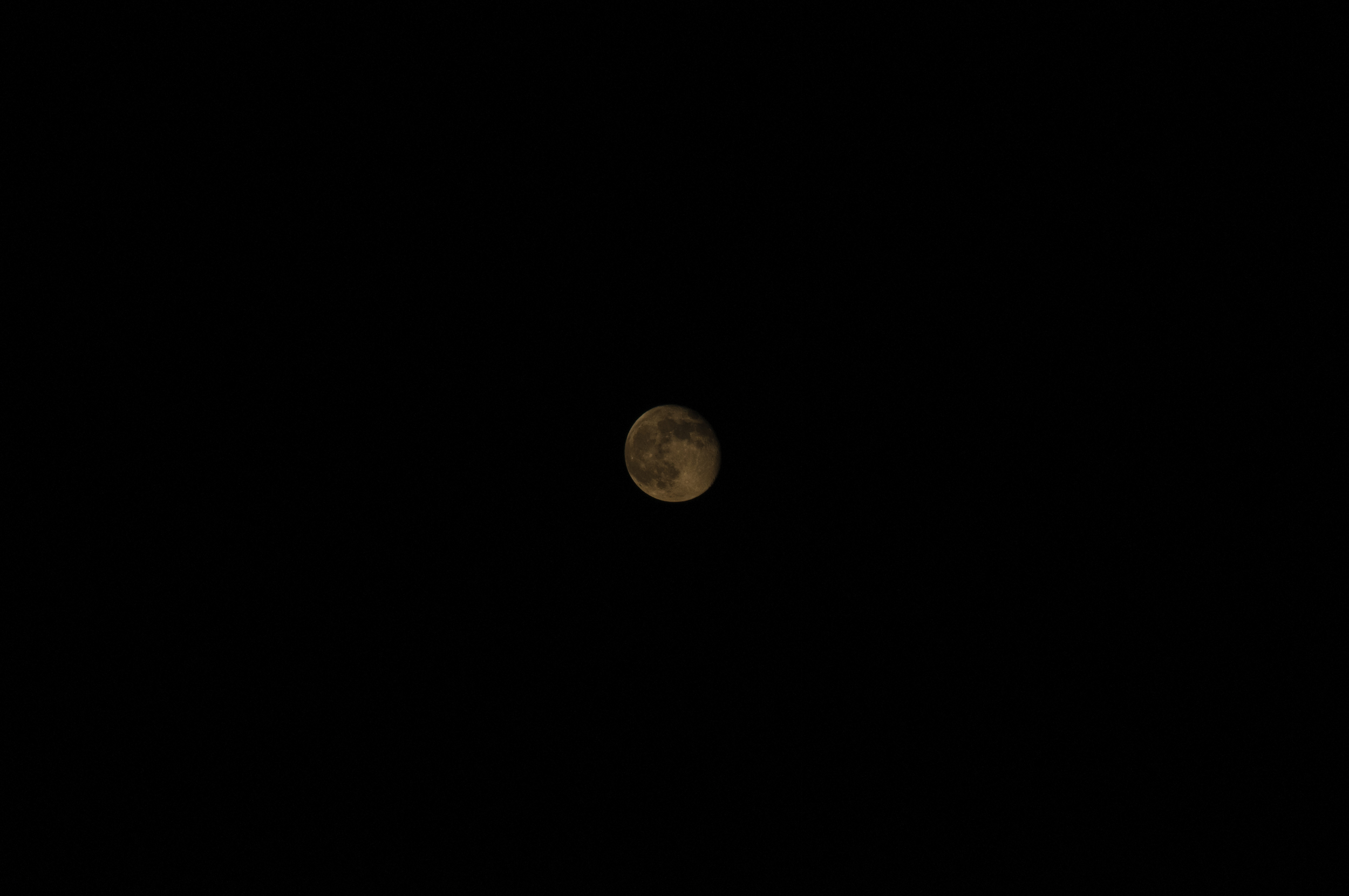 _DSC6487.jpg