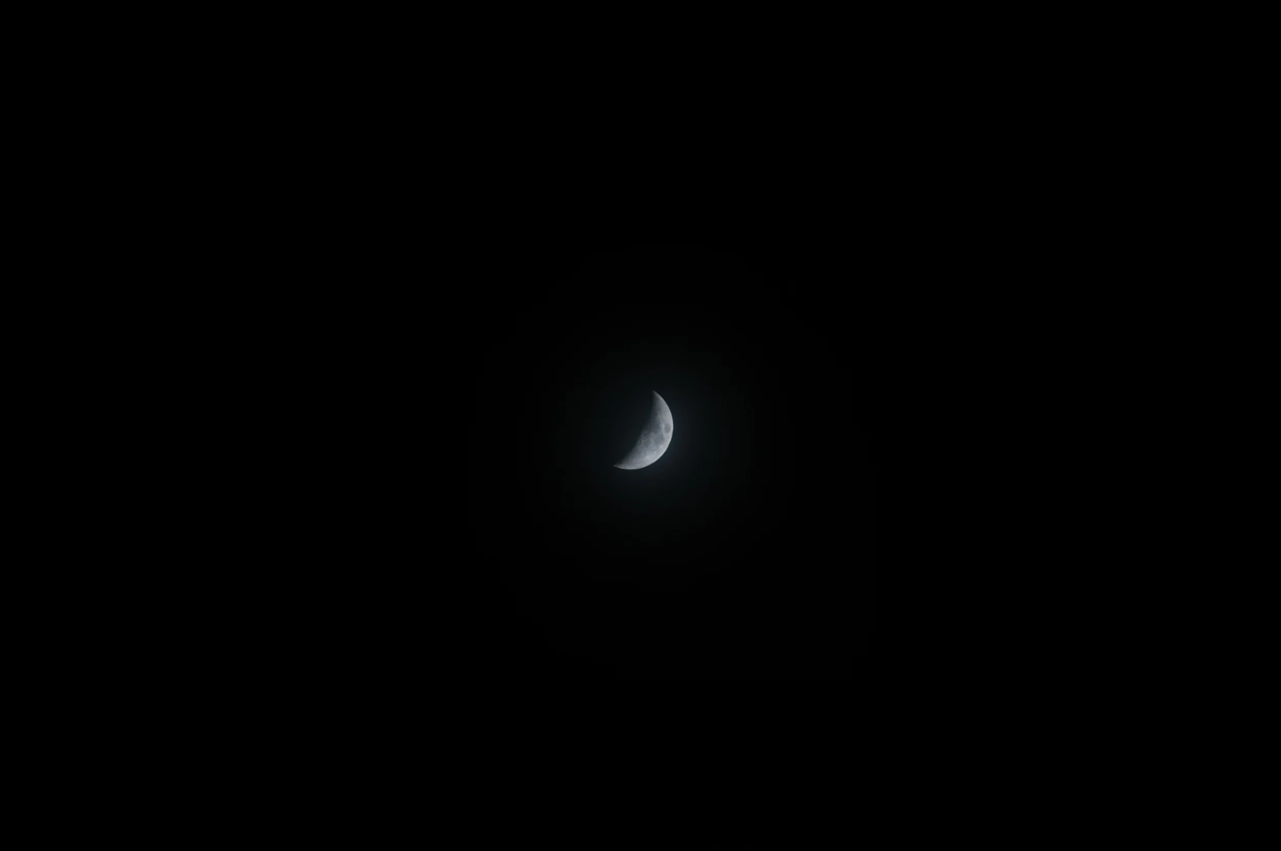 _DSC8349.jpg