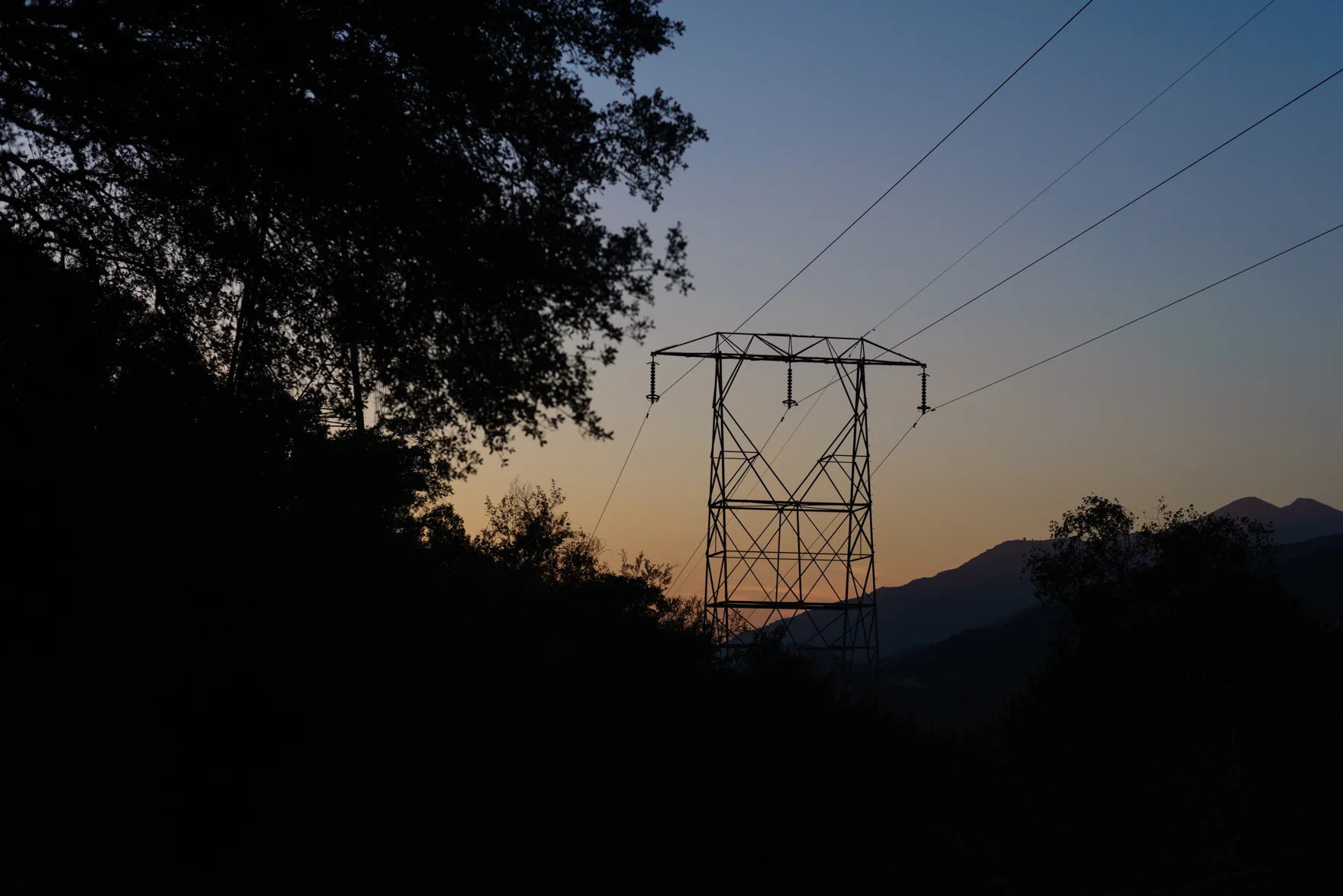 _DSC9650.jpg