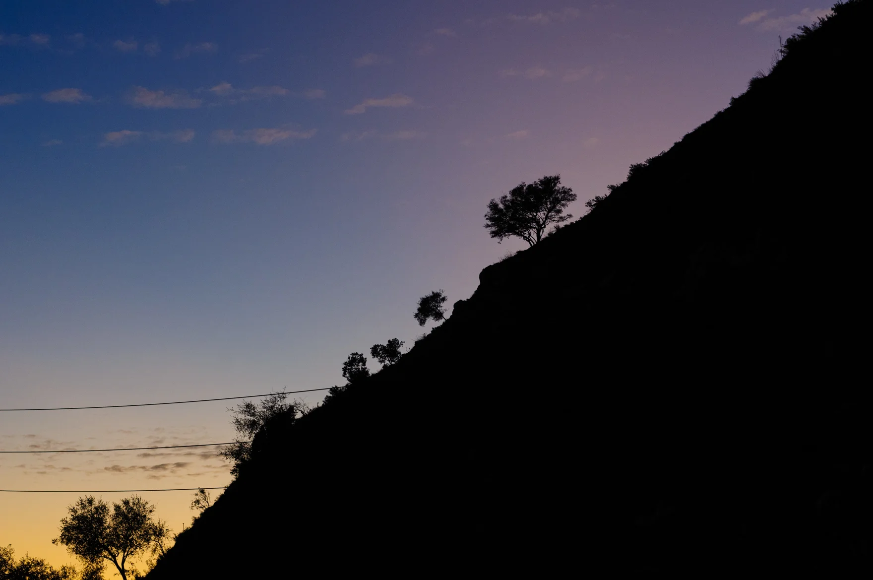 _DSC0934.jpg