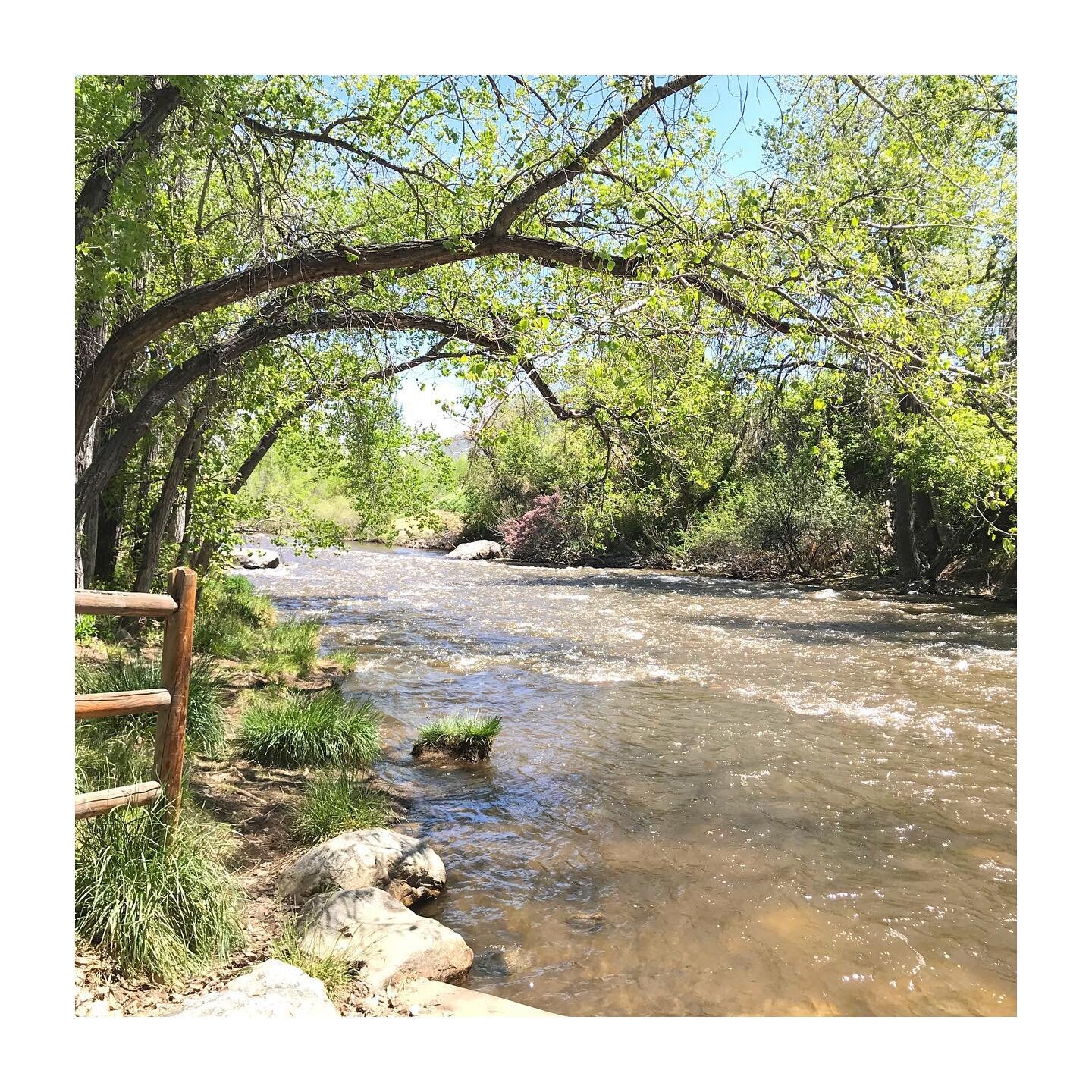 Loving these warmer walks by the river! Birds chirping, sun shining, water rushing, leaves budding... MM! ☀️🌿