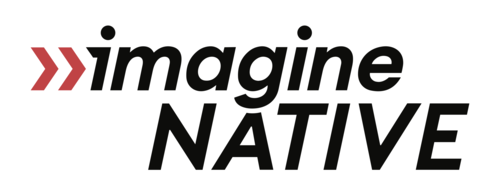 The logo for imagineNative