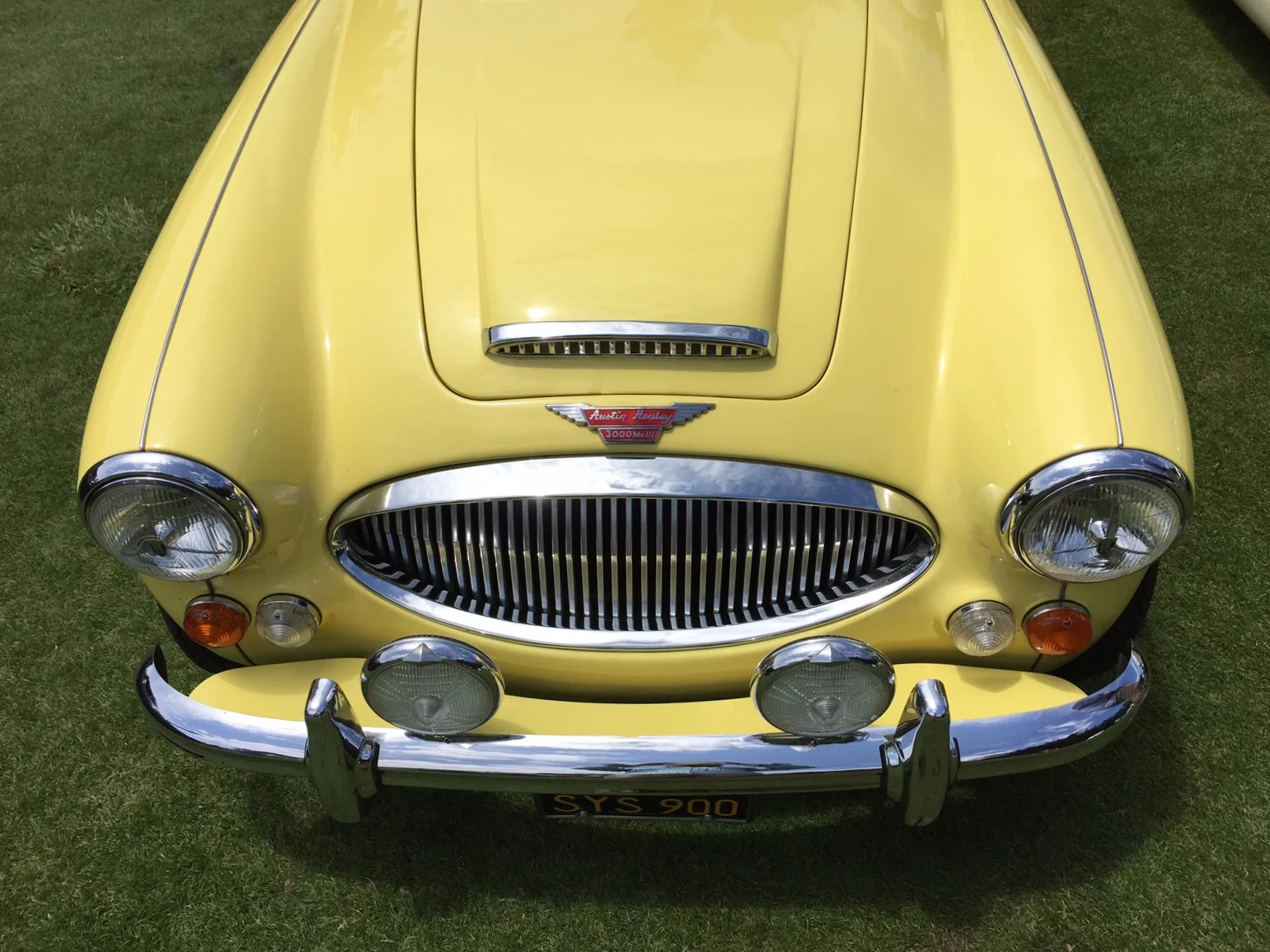 Healey3000.JPG