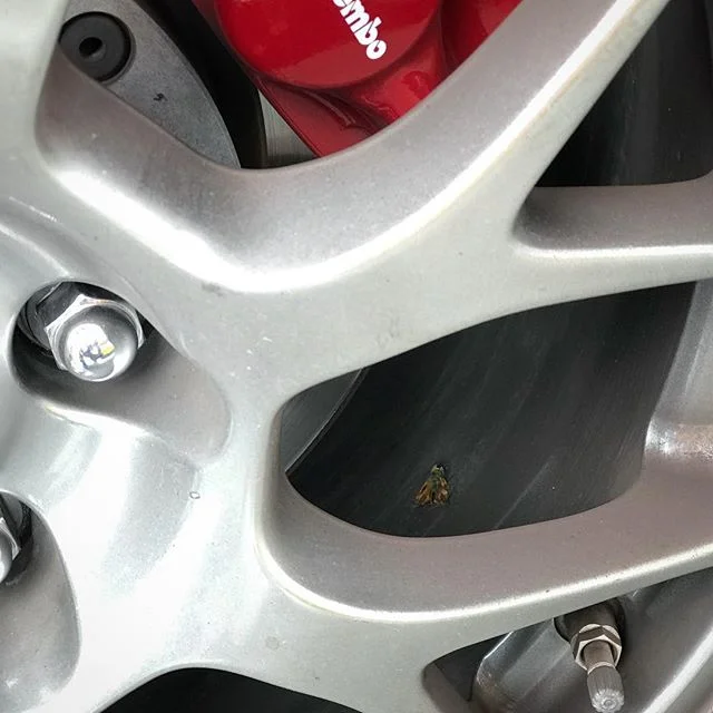 Killer B&rsquo;s. #brembo #bbs #butterfly

Needs #bath