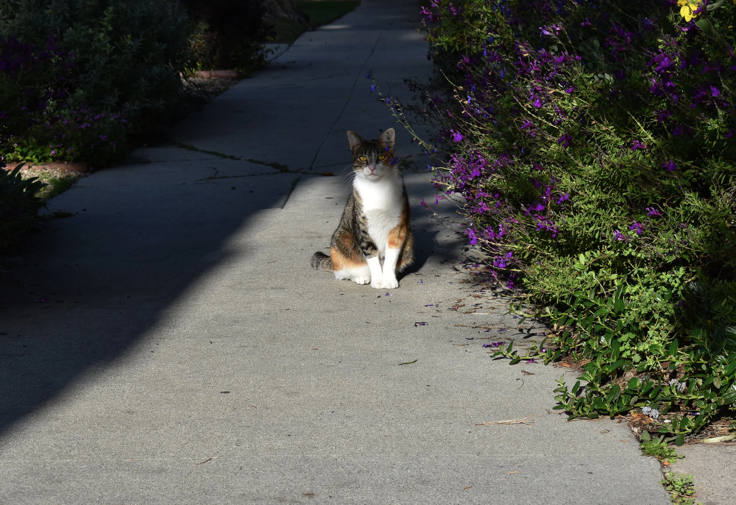 DSC_0045_edited.JPG