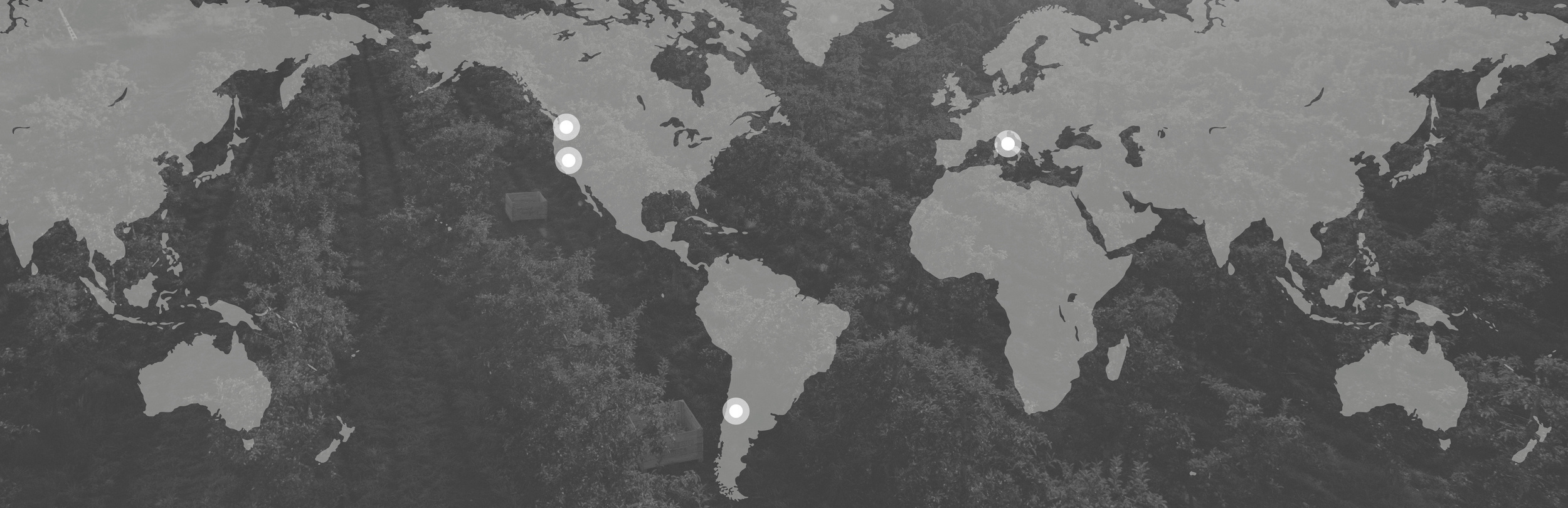 map3.cropped.jpeg