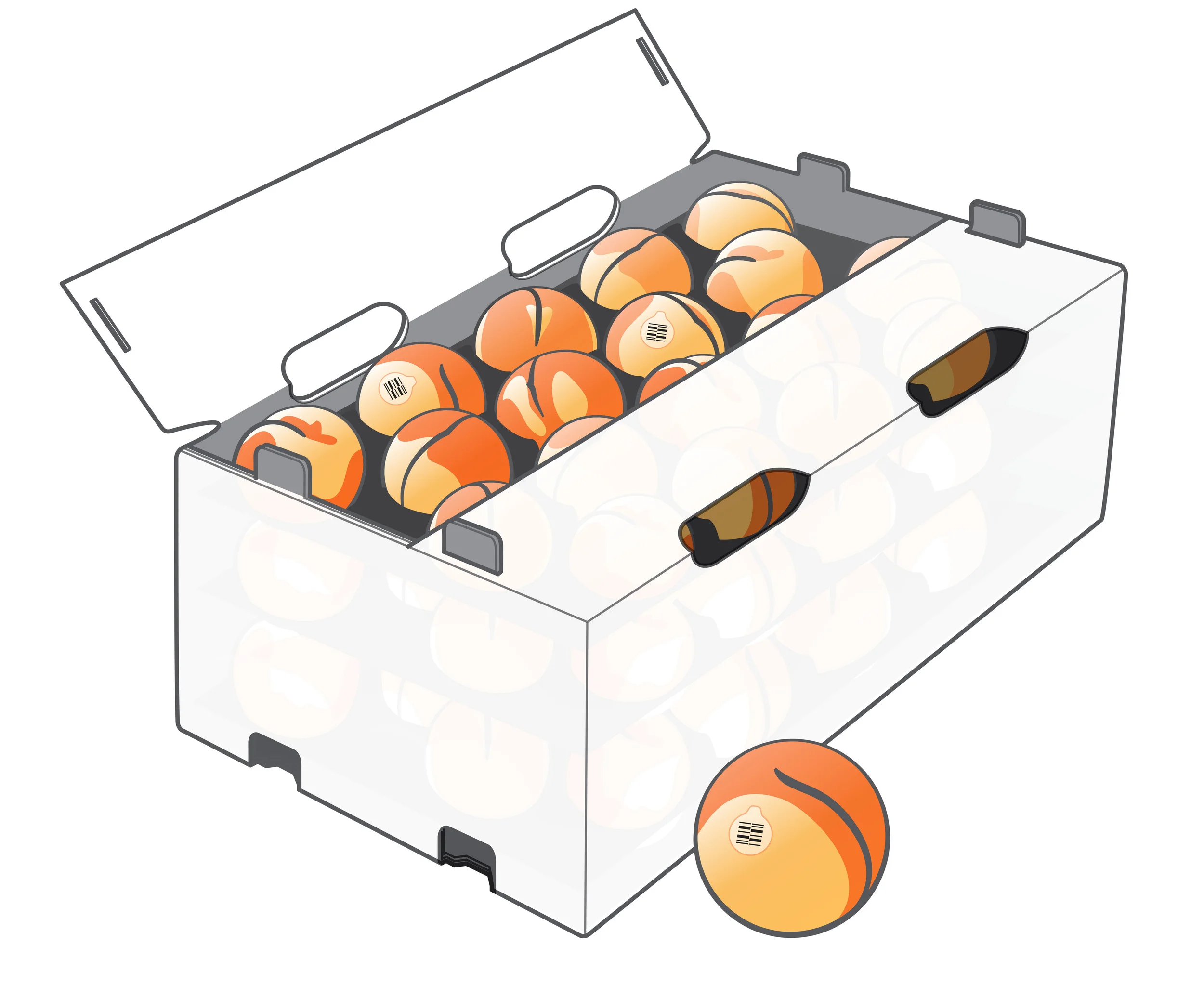 Peach Pantapak