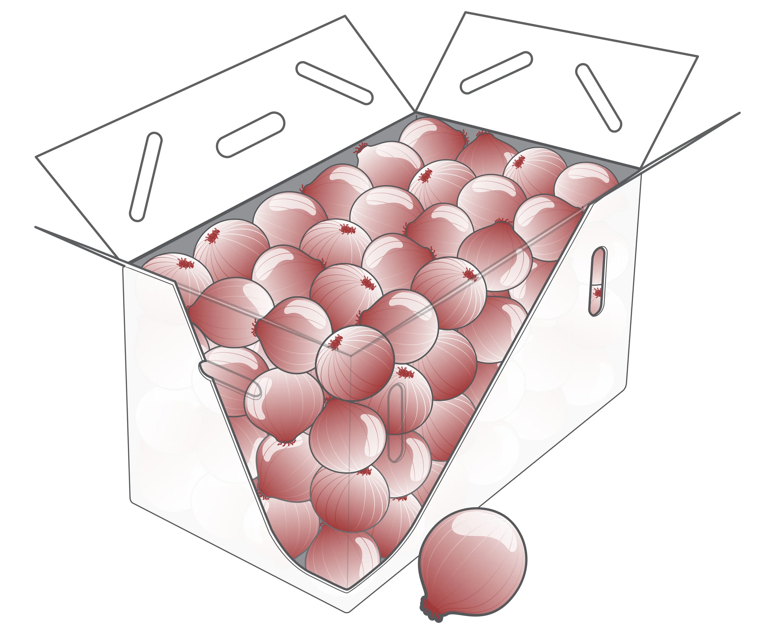 Bulk Box