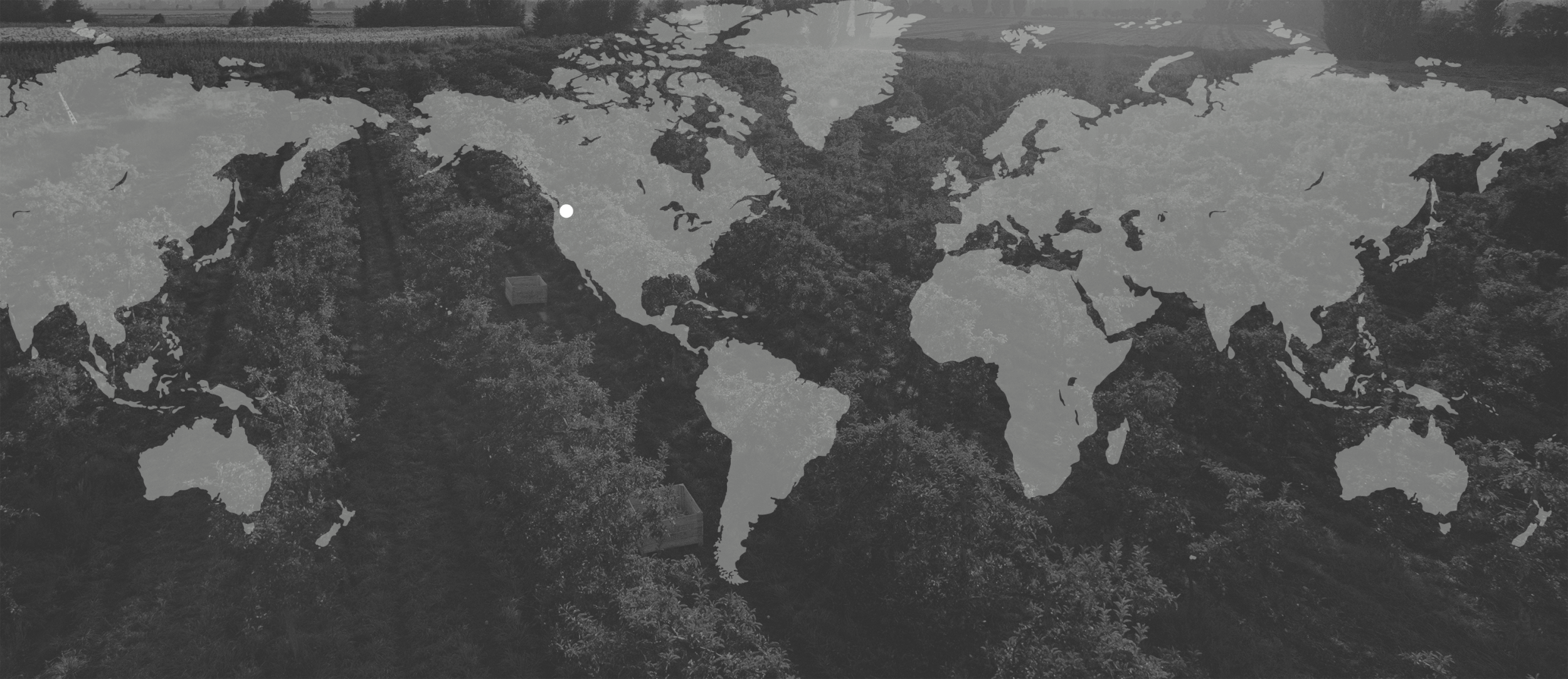 GrowingWorldwide-fade.gif