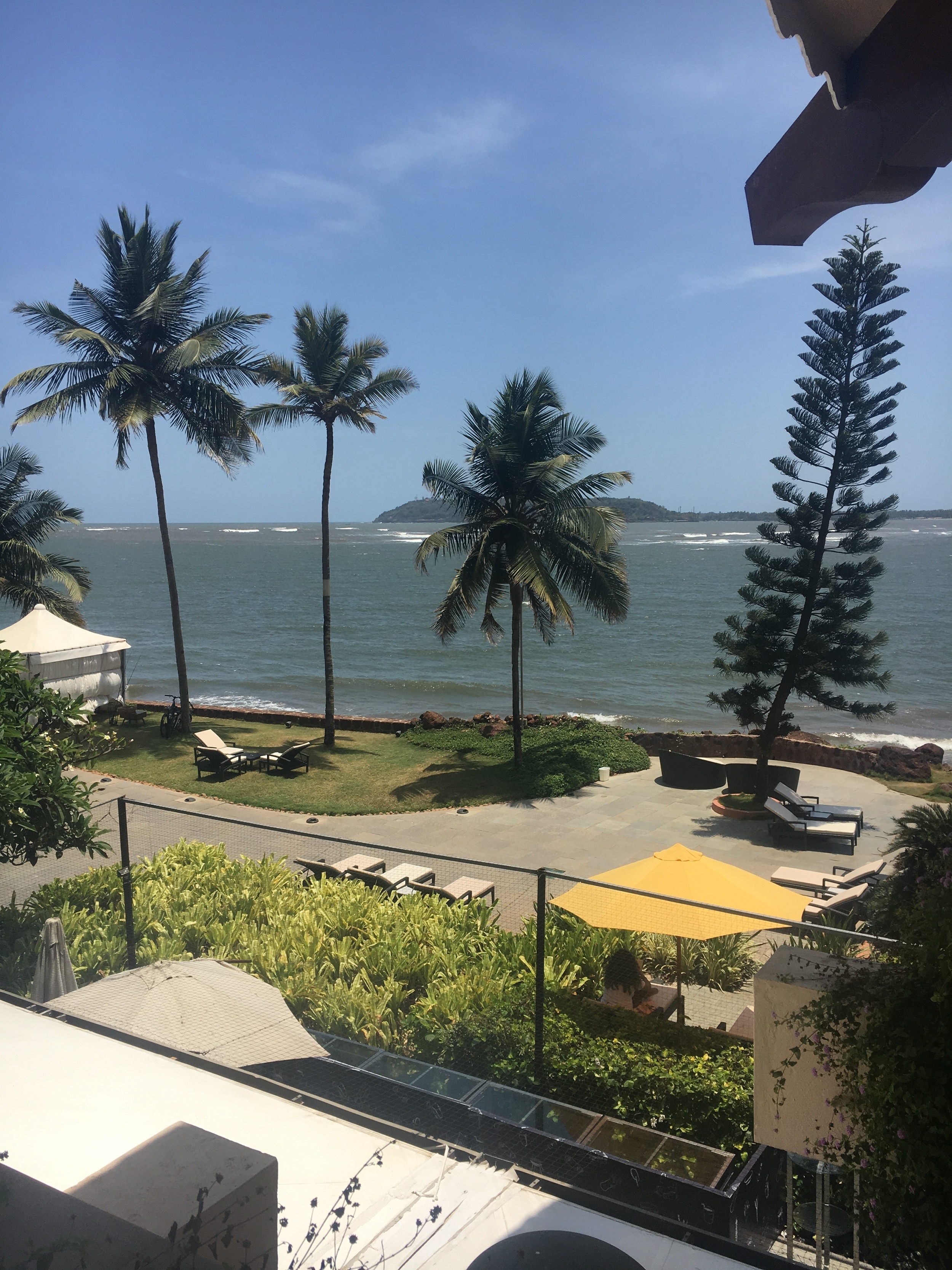 views from the hotel