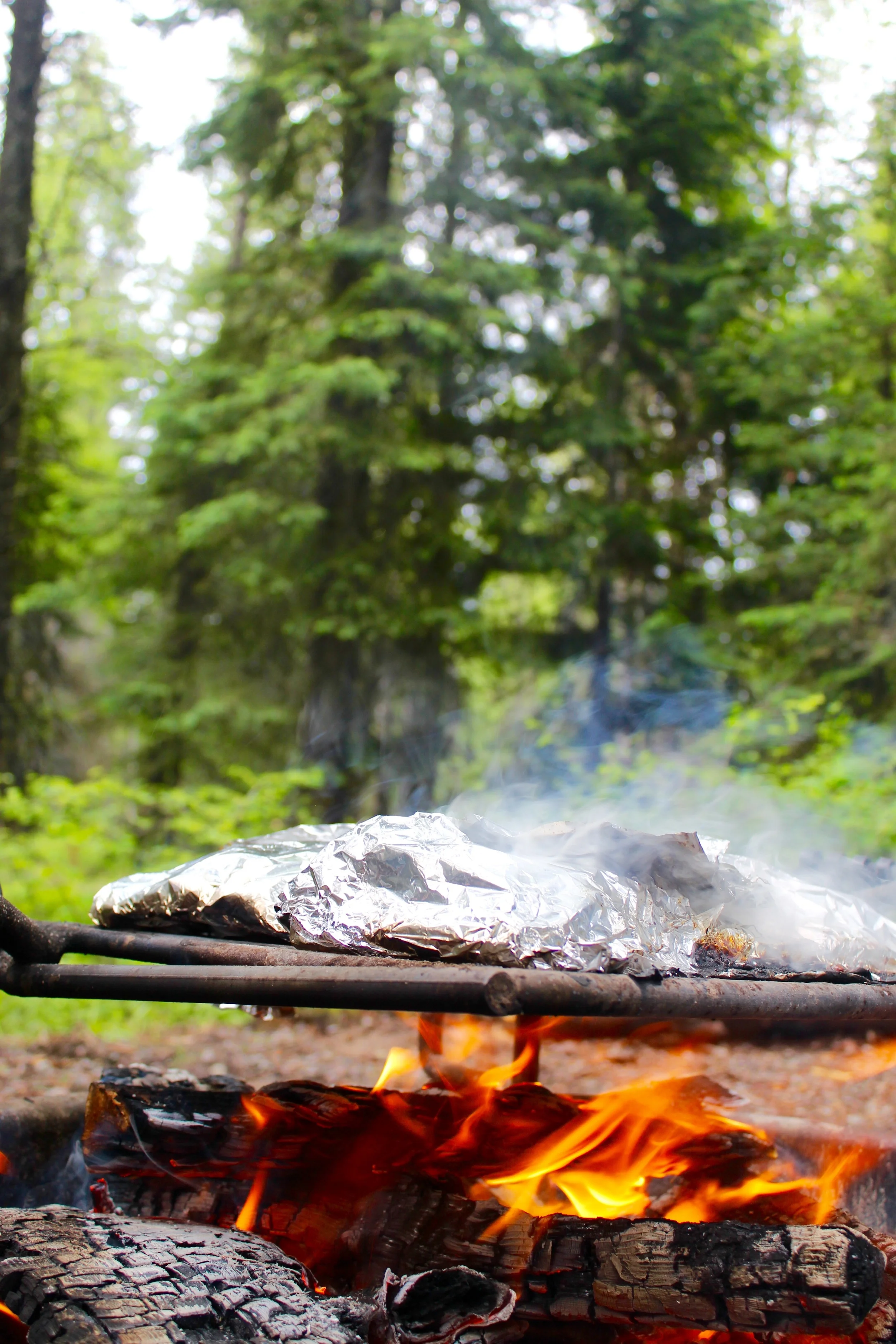 Cedar Plank Salmon with Blueberry Salsa