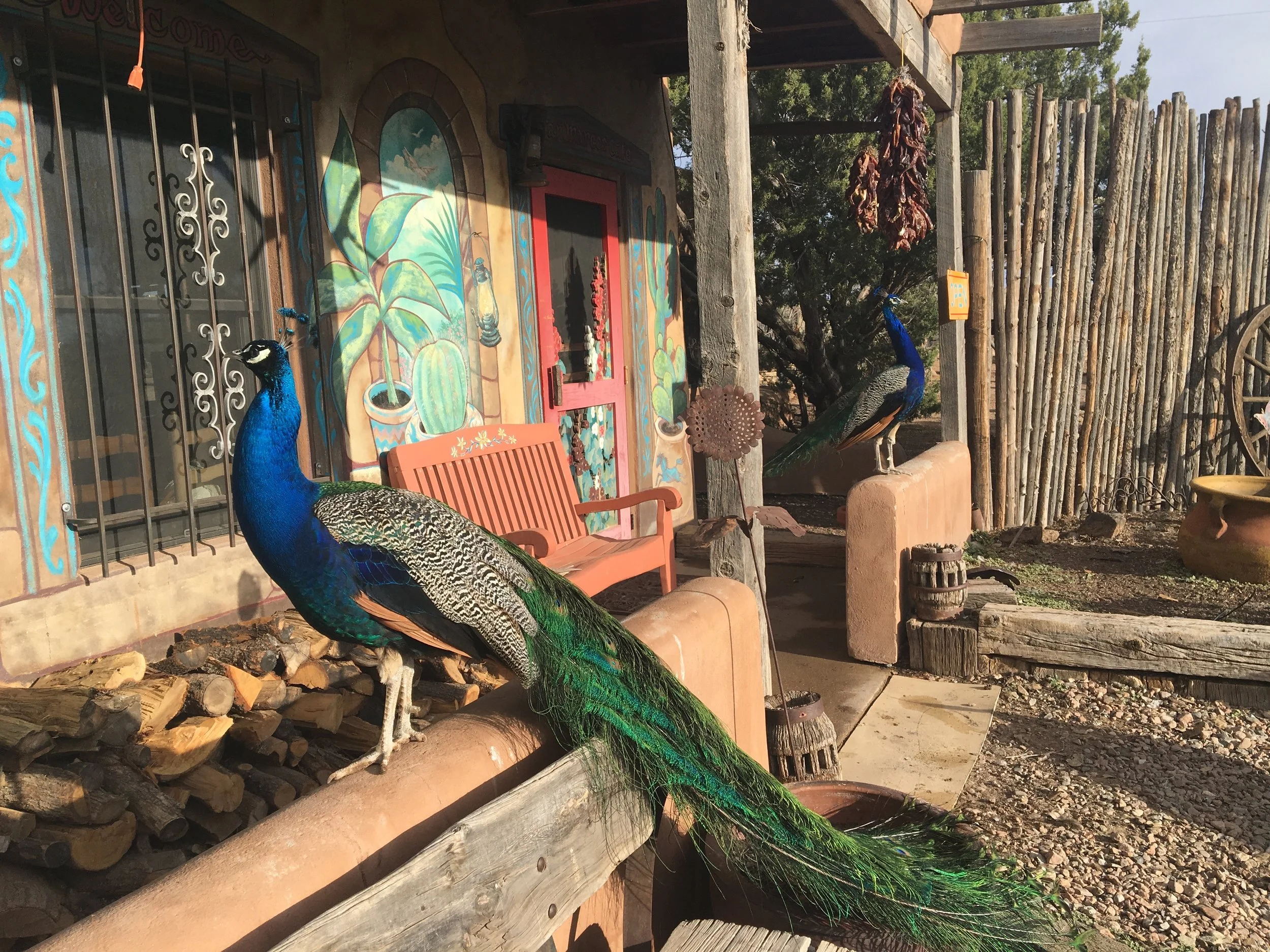 The guardians of San Marcos Cafe