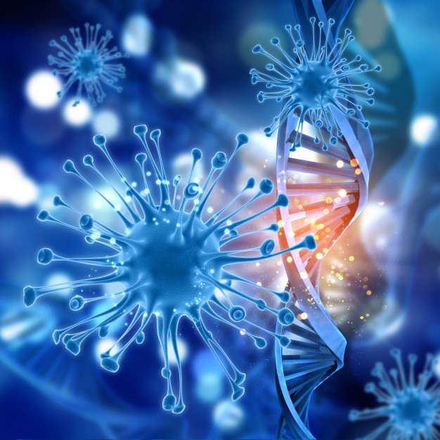 Everything start in our mind, heart and soul; so our cells in our body receives that information and works harmonically and in alignment with it.