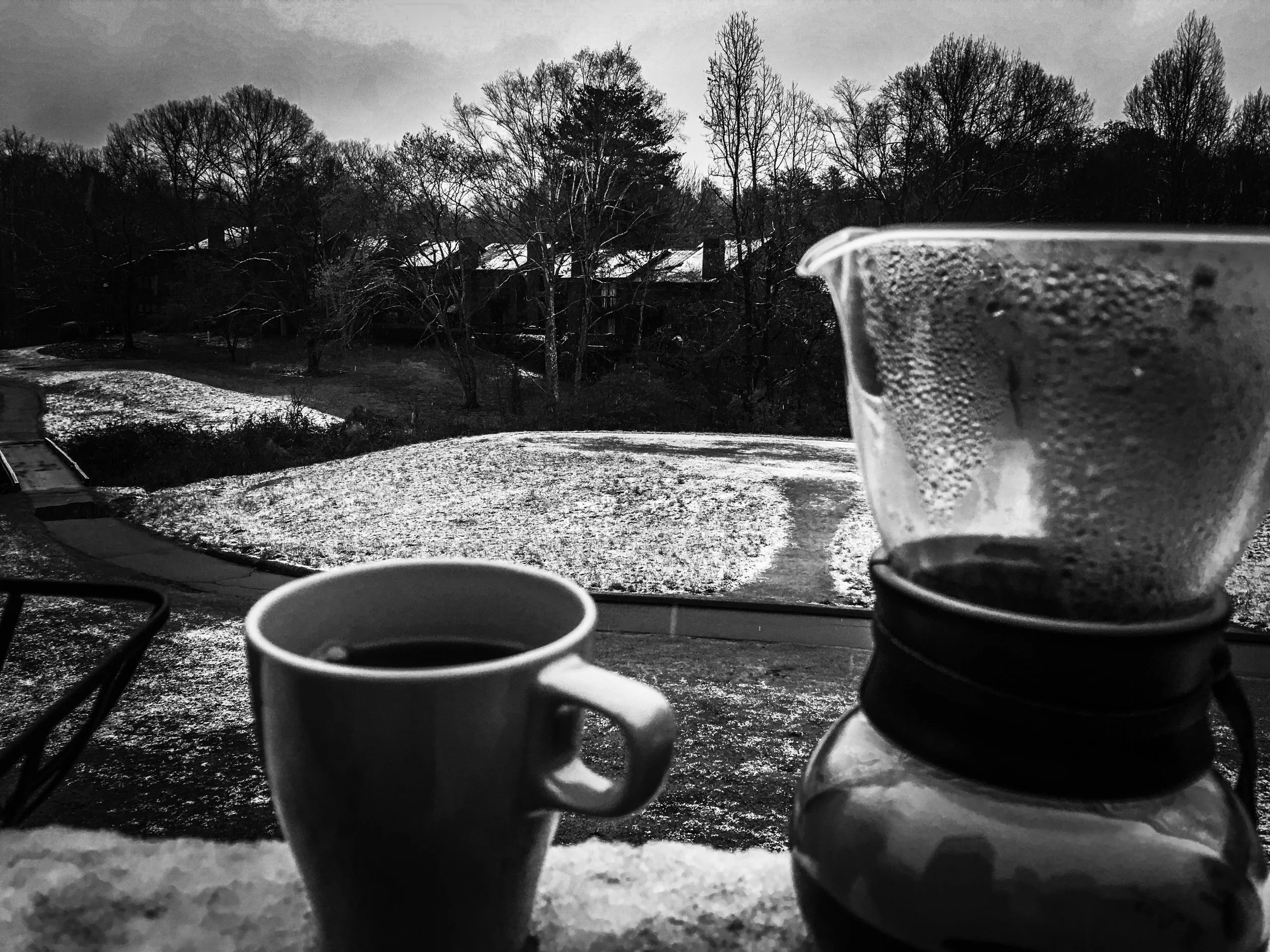 Winter breathes its final gasp here in South Carolina. 