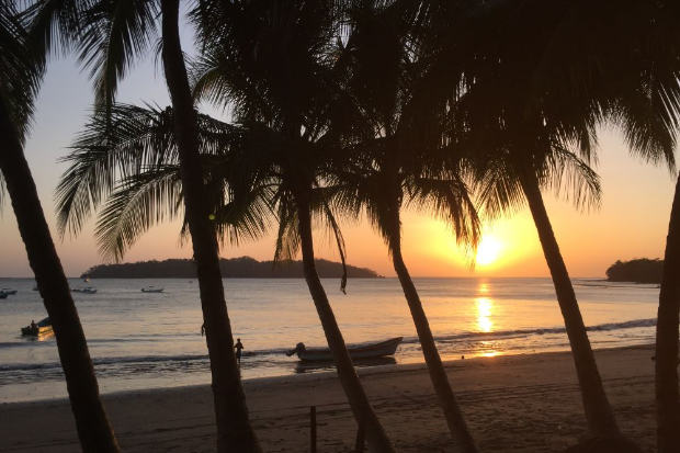 Sunset-Palms_edit_edit.png