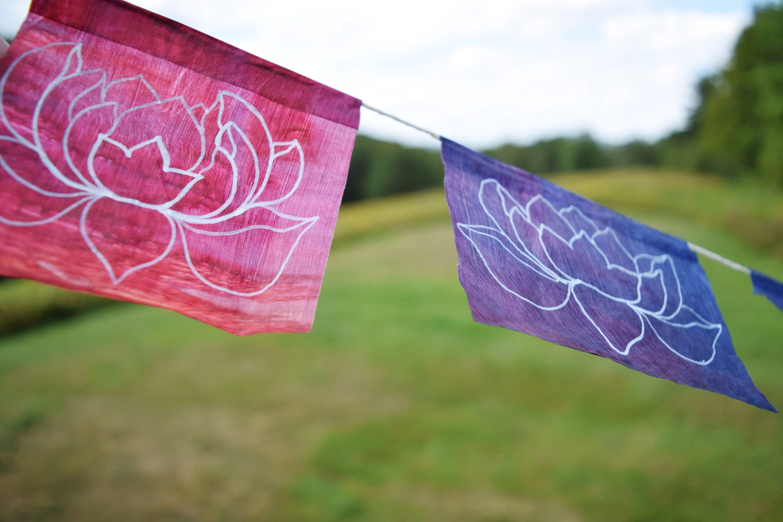 purplepinklotusflags.jpg