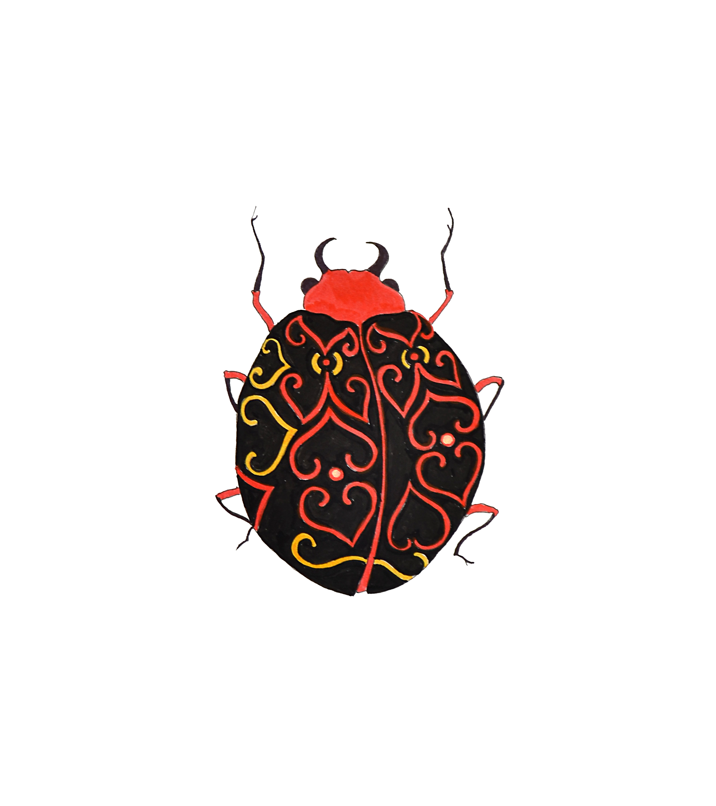Bug 1 no background.png