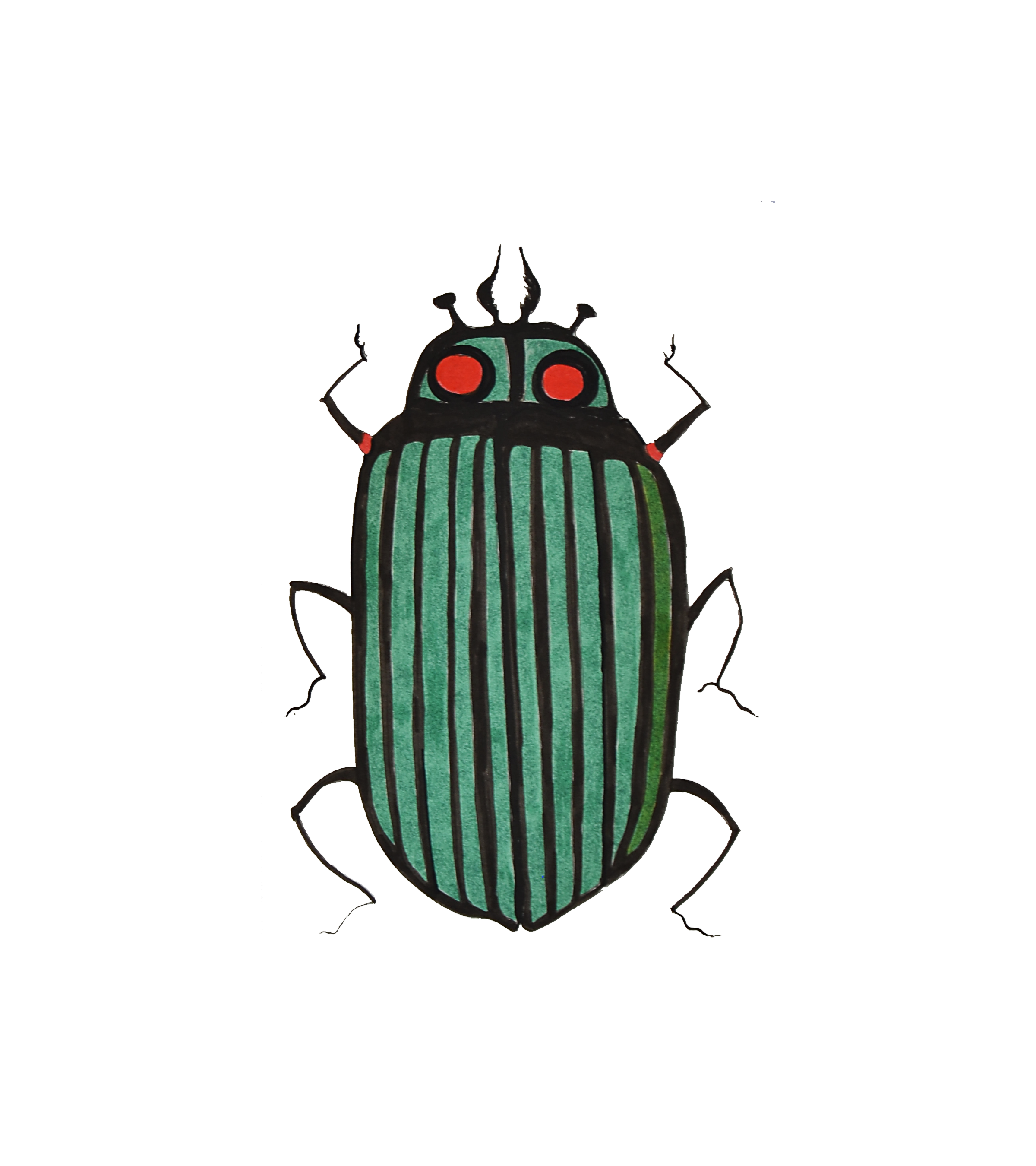 Bug 5 no background.png